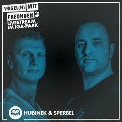 Hubinek & Sperbel • Vögel(n) mit Freunden meets Zwischenbau Rostock 05.09.2020