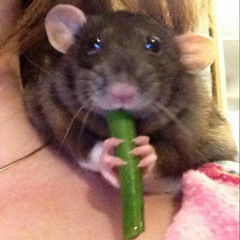 BUNGEE x SKOLIM - AUTOBANA (prod. CRACKHOUSE) (BASS BOOSTED)