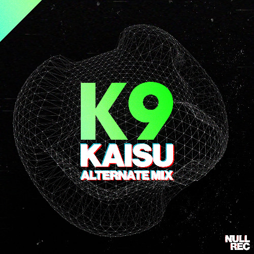 K9 - Kaisu (Alternate Mix) | Makina, Spanish, Bouncy | Null Records
