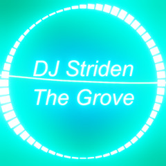 DJ Striden - The Grove