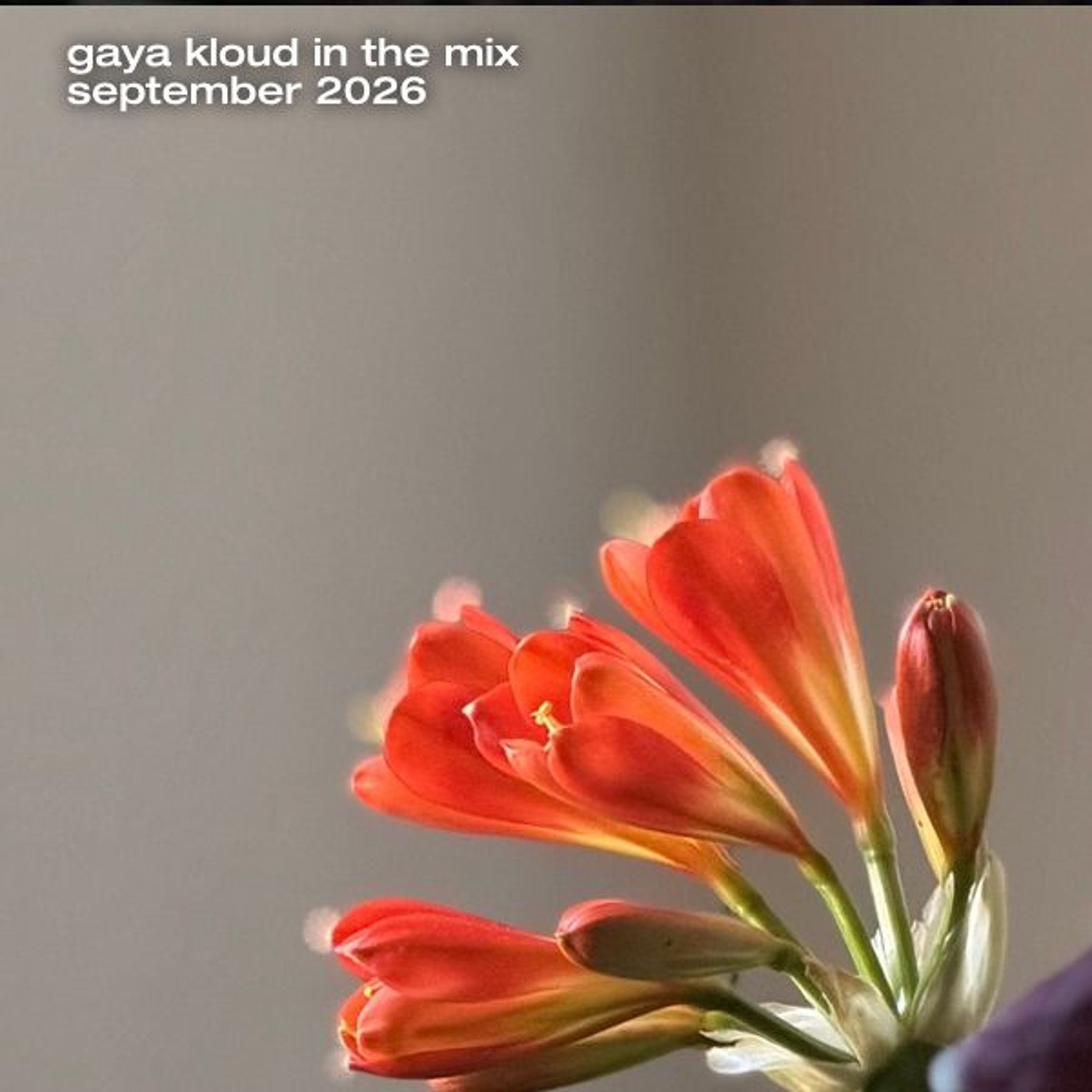 gaya kloud in the mix - September 2026 episode artwork
