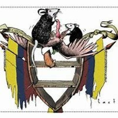 Selvas De Colombia