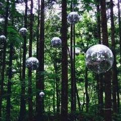 Disco Brunch with Thorson + Turtle 8/30/2020