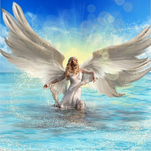 Stream Angel Wings by Alana Kindree | Listen online for free on SoundCloud