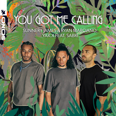 You Got Me Calling (feat. SABRI)