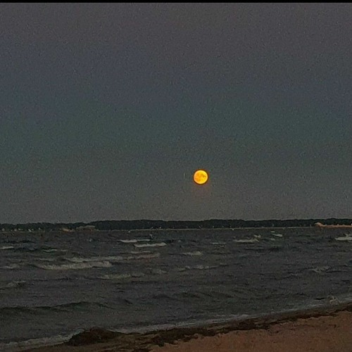 MoonshineAcid//160bpm