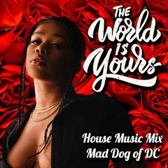 The World Is Yours - House Music Mix