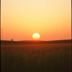 Every Once in a Smile