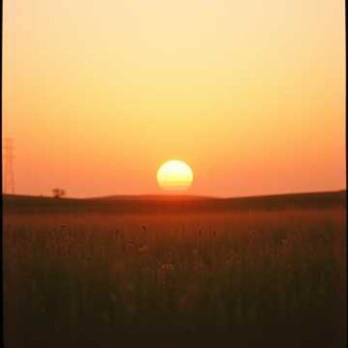 Every Once in a Smile