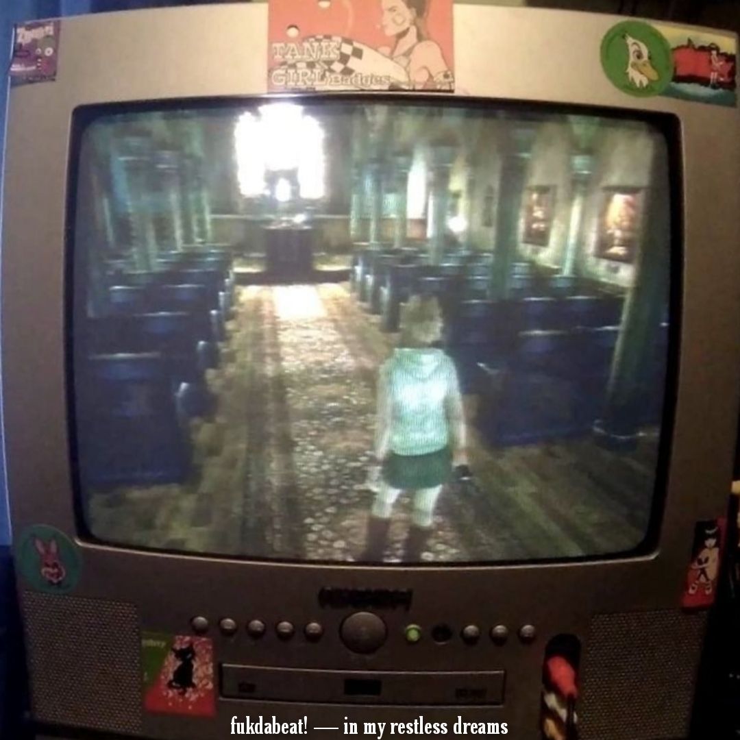 in my restless dreams