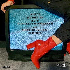 PREMIERE : Mufti - Kismet (Fabrizio Mammarella Remix)
