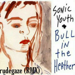 Sonic youth - Bull in the heather(RMX)
