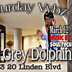 STACEY BIRTHDAY PARTY GREY DOLPHIN