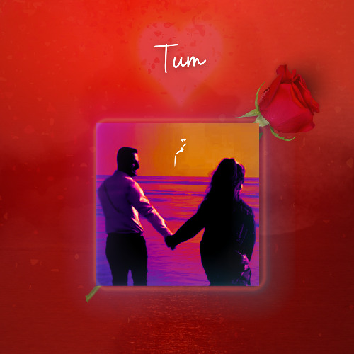 Tum | Urdu Melodic Rap | Hisam_SamDin [Official Audio]