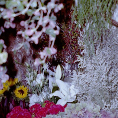 come, lean into my fantastic garden