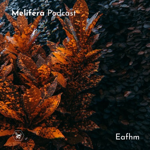 Melifera Podcast ⬡ Eafhm