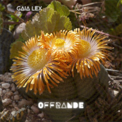 05 - Gaïa Lex - Peace on earth
