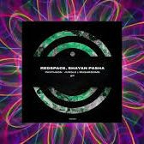 PREMIERE  Redspace & Shayan Pasha - Pantheon