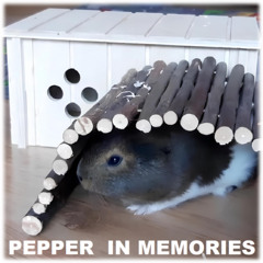 Deep Land - My Guinea Pig Pepper Heart Stopped...