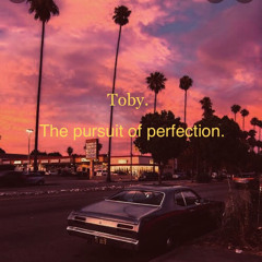 The Pursuit Of Perfection