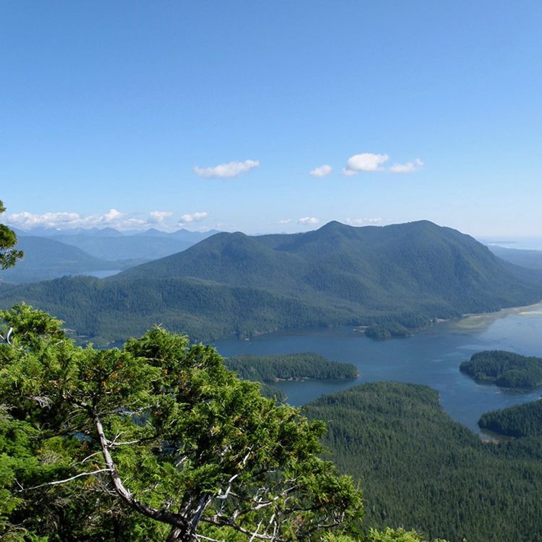 Stream Lemmen’s Inlet Arakun Islands, American Widgeon, Surf Scoters ...