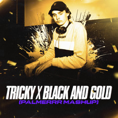 *PALMERRR* Tricky x Black and gold mashup
