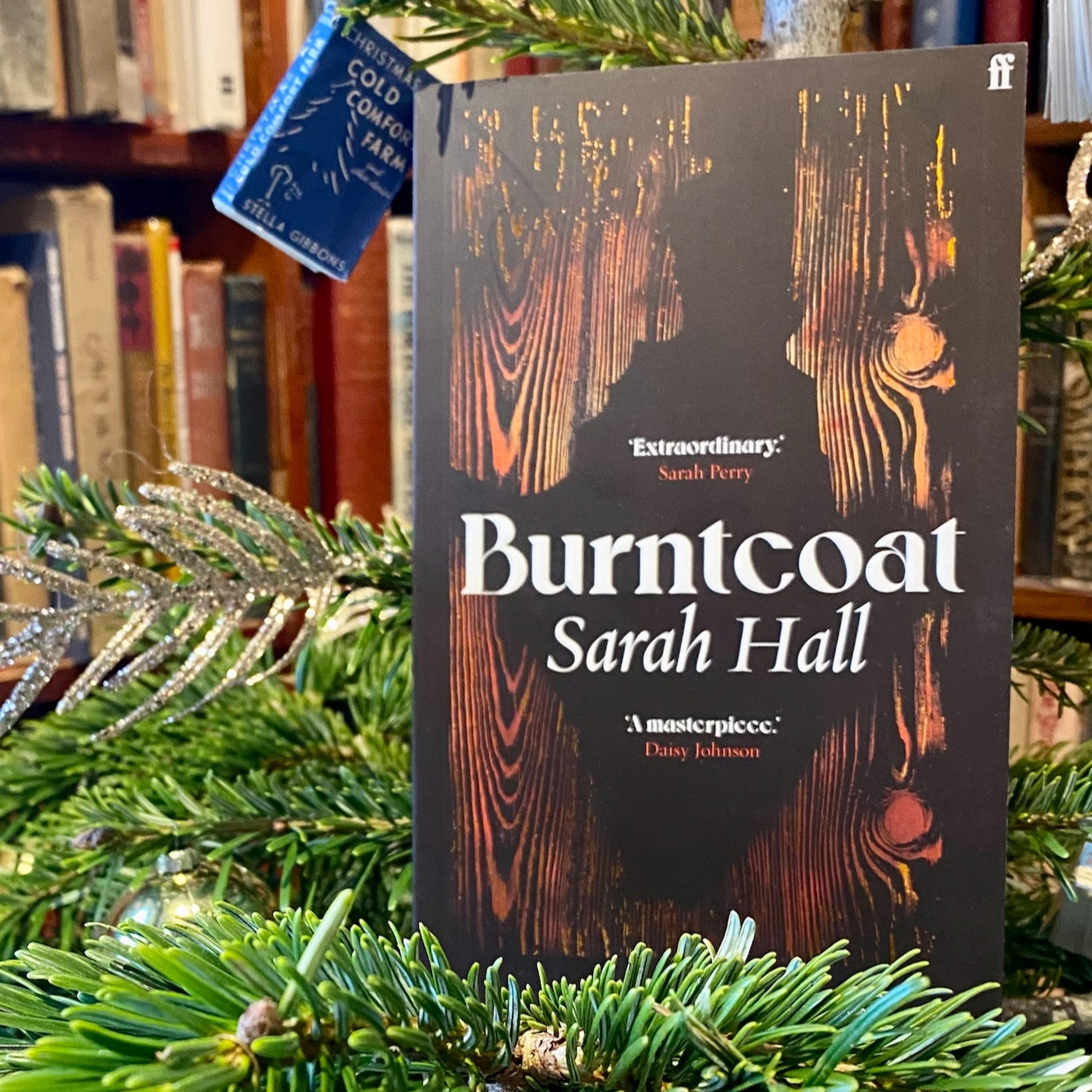 Sarah Hall on Burntcoat