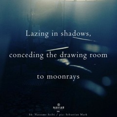 Shadows Conceding [NaviarHaiku504]