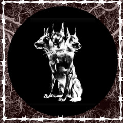 Zander - toxic work place