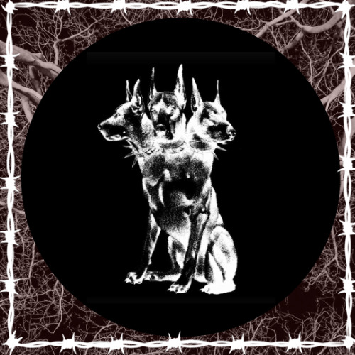 Zander - toxic work place