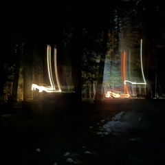 Tell me about trucks