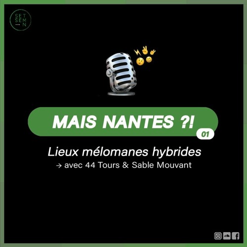 Mais Nantes ?! → Lieux mélomanes hybrides
