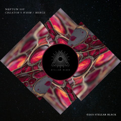 Neptun 505 - Merge [Stellar Black]