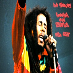 Bob Marley & The Wailers - fussing and fighting / Niju Edit/ free DL
