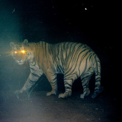 flyion (prod. Aydin v4)