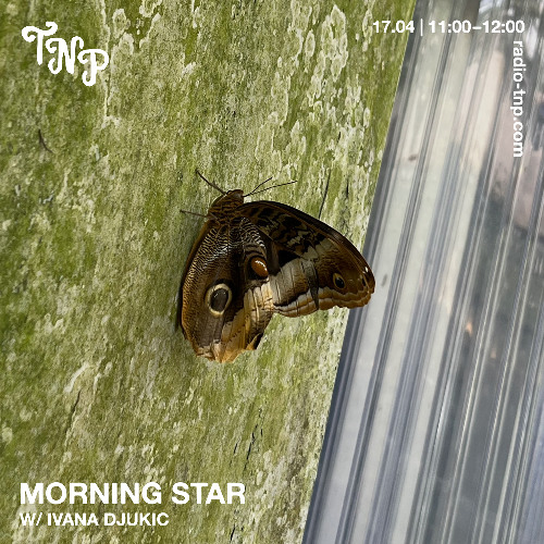 Morning Star w/ Ivana Đukić