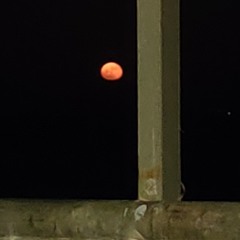 Lost luminary
