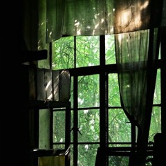 Annika wells - JVKE her