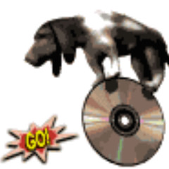 Take me apart vip scrap