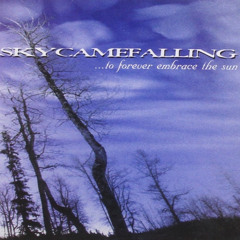 Skycamefalling - Shroud of Turin