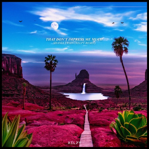 Shania Twain - That Don't Impress Me Much (Xelpy Remix)