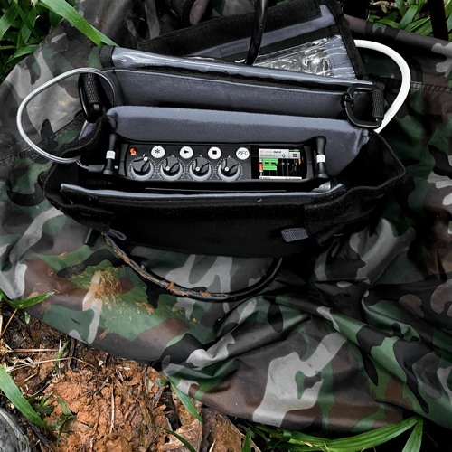 Sound Devices Mixpre 6 II Demo - Borneo night soundscape