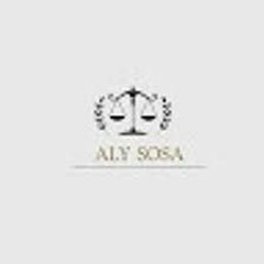 Aly Sosa's Expertise in Law and Economic Analysis