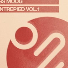 Wil - Joss Moog (Uptempo Disco House Remix)