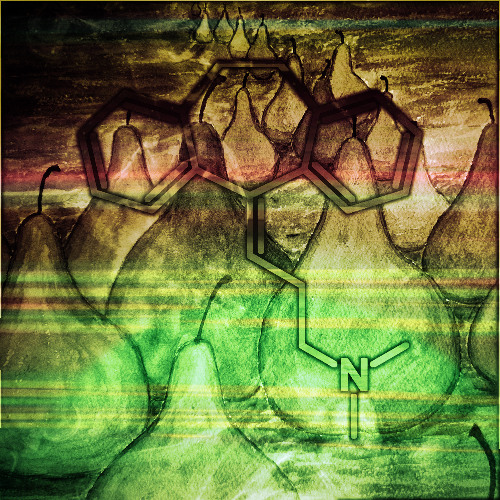 Sunstorm