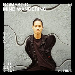 Domestic Mind Wandering w/ Hing  27.09.22