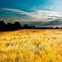 hallelujah (leonard cohen)_short cover