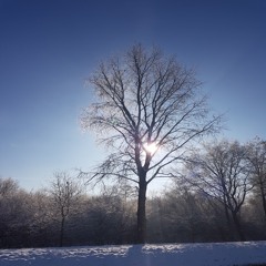 Winter Sunrise (Instrumental)