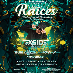 Raices.  MIX promo
