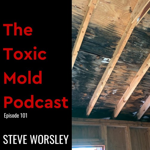 EP 101: What is Black Mold?